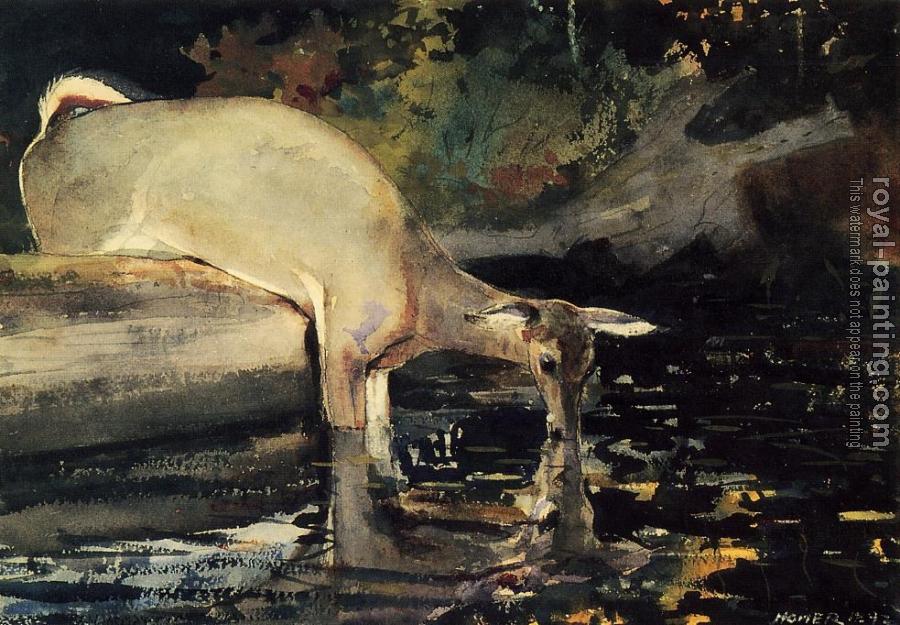 Winslow Homer : Deer Drinking